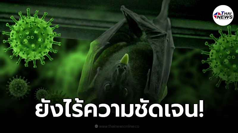 นักวิจัยชี้ "ที่มา-พาหะตัวกลาง" โควิด-19 ยังไร้ความชัดเจน