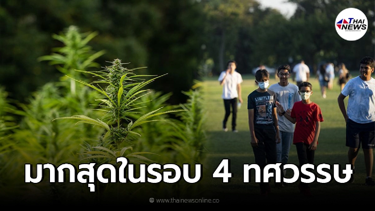 พบนักศึกษาใช้ "กัญชา" พุ่งสูงเป็นประวัติการณ์รอบ 40 ปี ในสหรัฐฯ