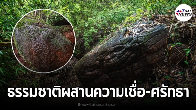 อุทยานแห่งชาติภูลังกา ธรรมชาติผสานความเชื่อ และศรัทธา อุทยานแห่งชาติภูลังกา ธรรมชาติผสานความเชื่อ และศรัทธา