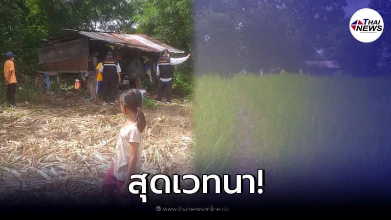 สุดรันทด หนูน้อย 9 ขวบ ไม่ได้เรียนหนังสือ อยู่กับพ่อในกระต๊อบกลางทุ่งนา สุดรันทด หนูน้อย 9 ขวบ ไม่ได้เรียนหนังสือ อยู่กับพ่อในกระต๊อบกลางทุ่งนา