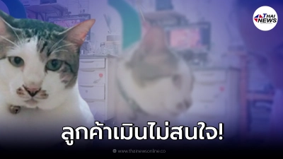 สาวทวงเงิน 8 แสน จากลูกค้า หลังกินฟรีอยู่ฟรีมานานกว่า 5 ปี สาวทวงเงิน 8 แสน จากลูกค้า หลังกินฟรีอยู่ฟรีมานานกว่า 5 ปี