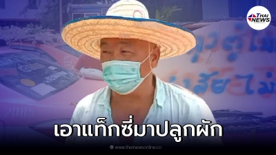 แท็กซี่ 300 คันเจอพิษล็อกดาวน์ขับหาเงินไม่ได้จอดทำเป็นที่ปลูกผัก