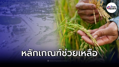 เช็กเงื่อนไข การเยียวยา "เกษตรกร" ที่ได้รับความเดือดร้อนจากเหตุน้ำท่วม