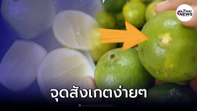 เผยจุดสังเกต วิธีเก็บรักษา มะนาว  ให้เก็บไว้กินได้นาน