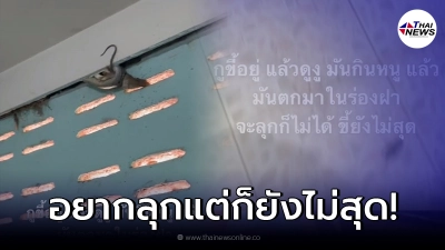 สาวกรี๊ดสุดเสียง กำลังนั่งปลดทุกข์ เงยหน้าเจองูล่าเหยื่อ จะลุกก็ยังไม่ได้