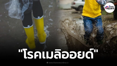 เตือนประชาชนระวัง "โรคเมลิออยด์" คนมีแผลที่เท้า ควรเลี่ยงลุยน้ำย่ำโคลน