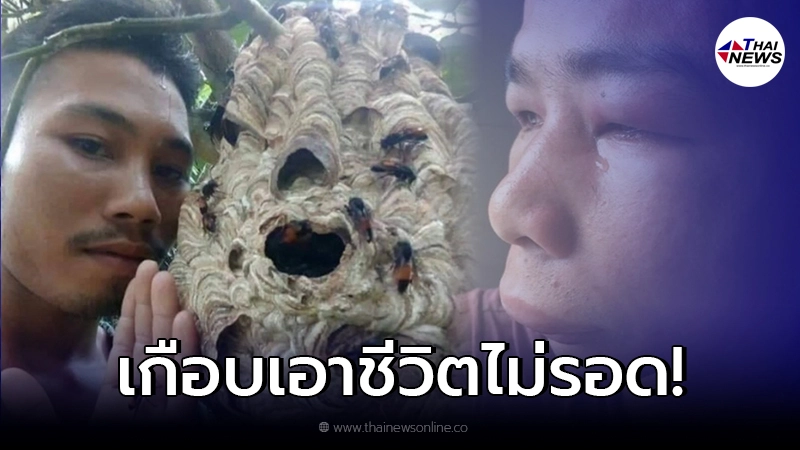 หนุ่มพิเรนทร์ ถ่ายเซลฟี่ กับรังต่อยักษ์ สุดท้ายเกือบเอาชีวิตไม่รอด หนุ่มพิเรนทร์ ถ่ายเซลฟี่ กับรังต่อยักษ์ สุดท้ายเกือบเอาชีวิตไม่รอด