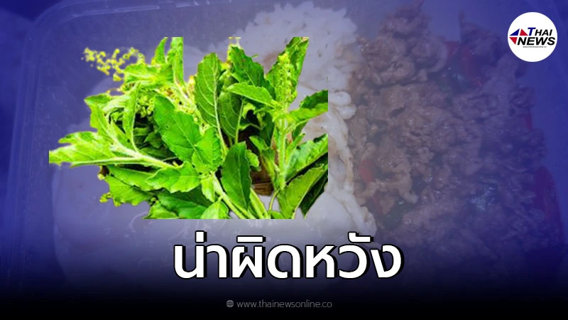 คนไทยในต่างแดน สุดผิดหวัง หลังสั่ง กะเพราเนื้อ กล่องละ 165 บ. มากิน คนไทยในต่างแดน สุดผิดหวัง หลังสั่ง กะเพราเนื้อ กล่องละ 165 บ. มากิน
