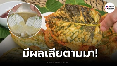 ตรวจสอบแล้ว! หลังแชร์ว่อน "ใบกระท่อมทอดกรอบ" ช่วยคลายเส้น ตื่นตัว
