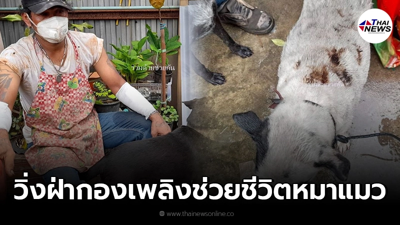 หนุ่มใจเด็ดวิ่งฝ่ากองเพลิง เพื่อช่วยชีวิตสุนัขและแมว รวม 11 ตัว