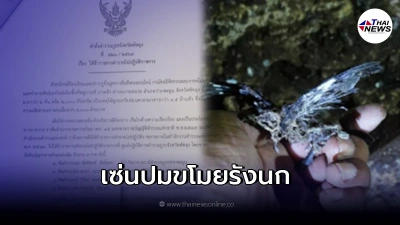 สั่งเด้ง 4 นายตำรวจ ปมคดีขโมยรังนก สร้างความเสียหาย 5,000 ล้าน สั่งเด้ง 4 นายตำรวจ ปมคดีขโมยรังนก สร้างความเสียหาย 5,000 ล้าน