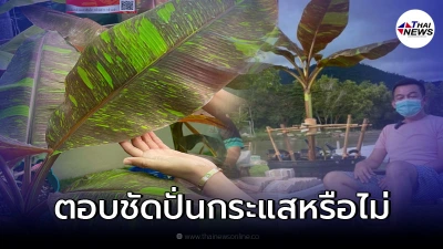 เสี่ยใหญ่แจงชัด ยอมควักเงิน 10 ล้านซื้อกล้วยด่าง เพราะปั่นกระแสหรือเปล่า?