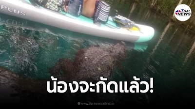 นทท.ต่างชาติพายเรืออยู่ดีๆ มีจระเข้ตัวใหญ่ว่ายมากัด ลุ้นทั้งคณะ