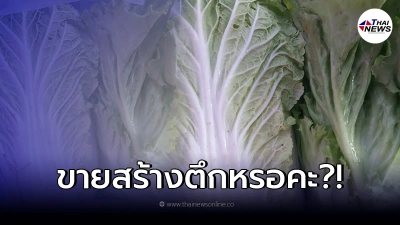 สาวเดือด โพสต์โวยซื้อผักกาดขาว2หัว เกือบ200 แพงสุดในชีวิต ครั้งเดียวเข็ด สาวเดือด โพสต์โวยซื้อผักกาดขาว2หัว เกือบ200 แพงสุดในชีวิต ครั้งเดียวเข็ด