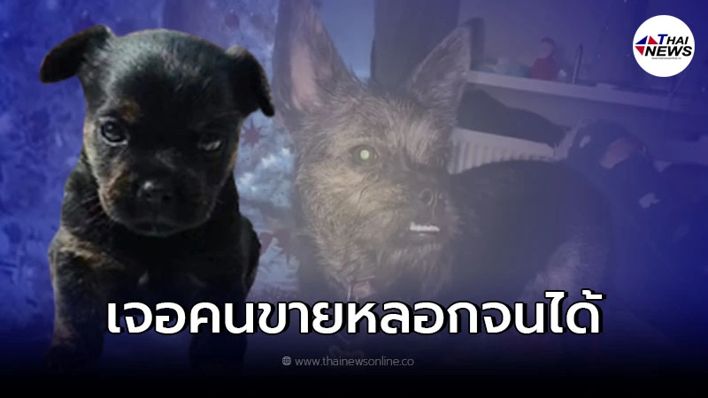 สาวอังกฤษสงสัย ซื้อลูกหมา คนขายบอกพันธุ์แท้ แต่พอน้องโตขึ้น...