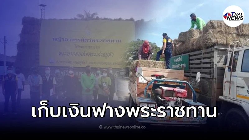 ชาวบ้านงงหนัก ฟางพระราชทาน แต่ถูกเรียกเก็บเงิน ชาวบ้านงงหนัก ฟางพระราชทาน แต่ถูกเรียกเก็บเงิน