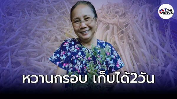 "ภรรยา เสี่ยตา ปัญญา"เผยเคล็ดลับเพาะถั่วงอกวิธีง่ายๆ 3วันพร้อมทานได้เลย