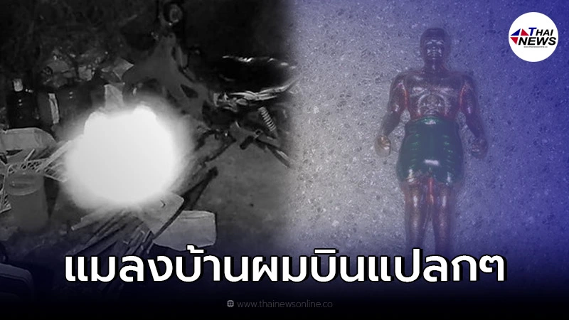 แสงไฟประหลาดลอยไปมา ผ่านกล้องวงจรปิด เจ้าของบ้านเชื่อเป็นดวงจิตหุ่นพยนต์ แสงไฟประหลาดลอยไปมา ผ่านกล้องวงจรปิด เจ้าของบ้านเชื่อเป็นดวงจิตหุ่นพยนต์