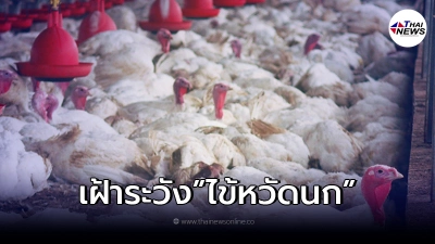 กรมปศุสัตว์ เตือน เฝ้าระวัง ไข้หวัดนก หลังพบการติดเชื้อในคนแล้ว กรมปศุสัตว์ เตือน เฝ้าระวัง ไข้หวัดนก หลังพบการติดเชื้อในคนแล้ว