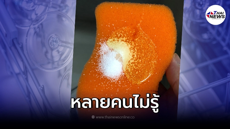 เคล็ดลับ ล้างจานให้สะอาดหมดจน ใช้ เกลือ + น้ำยาล้าง ด้วยวิธีง่ายๆ เคล็ดลับ ล้างจานให้สะอาดหมดจน ใช้ เกลือ + น้ำยาล้าง ด้วยวิธีง่ายๆ