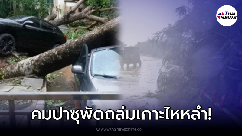 ไต้ฝุ่นคมปาซุ พัดถล่มเกาะไหหลำ ฝนตกหนัก-ลมกระโชกแรง ไต้ฝุ่นคมปาซุ พัดถล่มเกาะไหหลำ ฝนตกหนัก-ลมกระโชกแรง