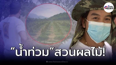 “ชาคริต-แอน ภัททิรา” กุมขมับ หลังเจอพายุถล่มจน “น้ำท่วมสวนผลไม้”