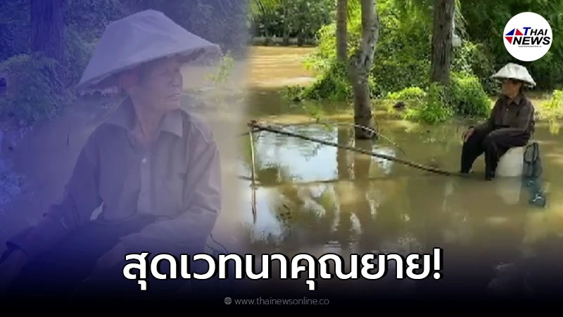 ยายวัย 80 กู้เงินมาทำนา 5 หมื่นหายไปกับน้ำท่วม นั่งตกปลามากินประทังชีวิต ยายวัย 80 กู้เงินมาทำนา 5 หมื่นหายไปกับน้ำท่วม นั่งตกปลามากินประทังชีวิต