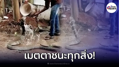 หนุ่มพ่อพระ ให้น้ำงูจงอาง หลังเลื้อยมาหา ด้วยความหิวกระหาย หนุ่มพ่อพระ ให้น้ำงูจงอาง หลังเลื้อยมาหา ด้วยความหิวกระหาย