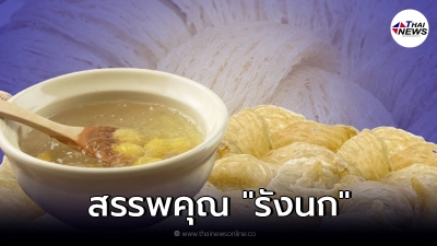 เผยสรรพคุณ "รังนก" เคล็ดลับช่วยบำรุงสุขภาพร่างกาย