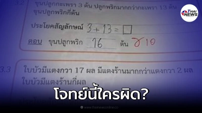 โจทย์คณิตศาสตร์ ถามมีพริกกี่ต้น แตงล้านกี่ผล งานนี้ชาวเน็ตเถียงกันสนั่น