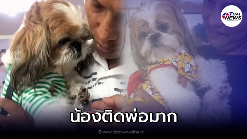 น้องหมาอ้อนพ่ออะไรขนาดนั้น พ่อจะไปทำงานบ้านช่วยแม่ น้องก็ไม่ยอมให้ไป น้องหมาอ้อนพ่ออะไรขนาดนั้น พ่อจะไปทำงานบ้านช่วยแม่ น้องก็ไม่ยอมให้ไป