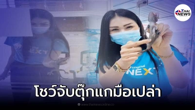 สาวแบงก์ใจกล้า ใช้มือเปล่าจับตุ๊กแก แถมจิ้มพุงน้องด้วยความเอ็นดู