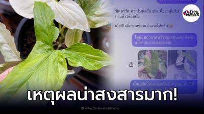 แม่ค้าคาใจ หนุ่มสั่งต้นไม้นัดเวลารับ ก่อนยกเลิกออเดอร์ ซ้ำให้มัดจำฟรี