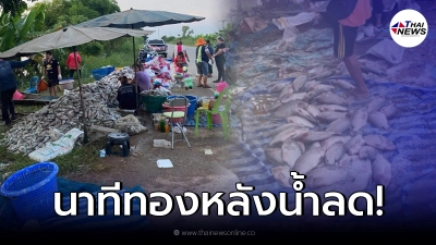 ชาวบ้านพลิกวิกฤติ ใช้โอกาสหลังน้ำลด จับปลาขายเต็มข้างทาง หลังน้ำท่วมหนัก