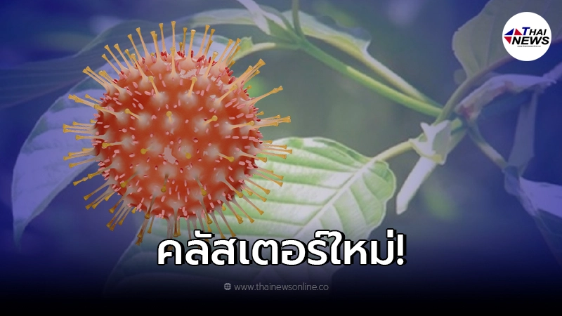 ศบค. เผยจังหวัดภาคใต้ พบคลัสเตอร์ใหม่ "วงน้ำกระท่อม" ศบค. เผยจังหวัดภาคใต้ พบคลัสเตอร์ใหม่ "วงน้ำกระท่อม"