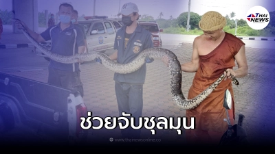 พระ-แม่ชี วิ่งหนีกระเจิง งูเหลือมยักษ์ แอบในห้องน้ำวัด ก่อนมุดใต้ท้องรถ พระ-แม่ชี วิ่งหนีกระเจิง งูเหลือมยักษ์ แอบในห้องน้ำวัด ก่อนมุดใต้ท้องรถ