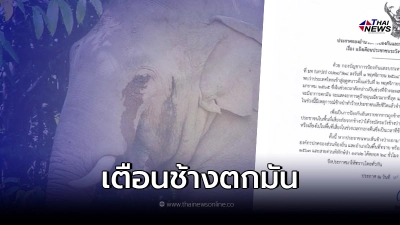 ประกาศเตือน จังหวัดล่าสุด  ช้างตกมัน ทำร้ายชาวบ้านดับ ทำลายทุกอย่าง