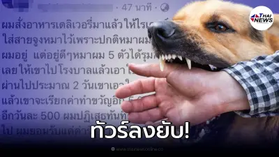 หนุ่มโพสต์หาคำปรึกษา ให้ไม่ต้องจ่าย "ค่าทำขวัญ" หลังหมาไปรุมกัดไรเดอร์