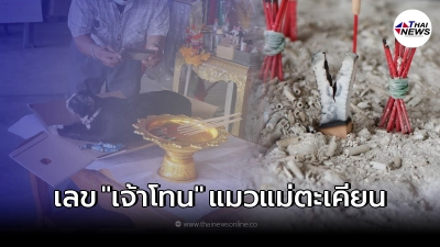ส่องเลขธูป "เจ้าโทน" แมวดังวัดใหม่โคกมะรุม หลังทำพิธีจุดธูป
