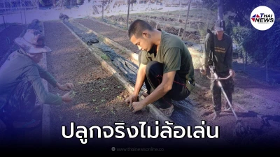 กองทัพเอาจริง สนองนโยบาย "บิ๊กตู่" เริ่มปลูกผักชีในค่ายทหาร กองทัพเอาจริง สนองนโยบาย "บิ๊กตู่" เริ่มปลูกผักชีในค่ายทหาร