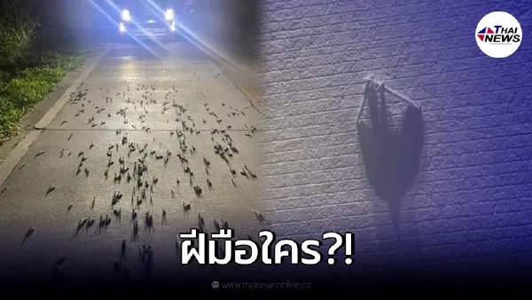 หนุ่มขับรถอยู่ดีๆ พบนอตโรยเกลื่อนถนนย่านศรีราชา เชื่อไม่ใช่เหตุบังเอิญ หนุ่มขับรถอยู่ดีๆ พบนอตโรยเกลื่อนถนนย่านศรีราชา เชื่อไม่ใช่เหตุบังเอิญ