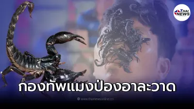 อียิปต์เคราะห์ซ้ำ กองทัพแมงป่องบุกอาละวาดไล่ต่อย - ปล่อยพิษใส่คนทั่วเมือง