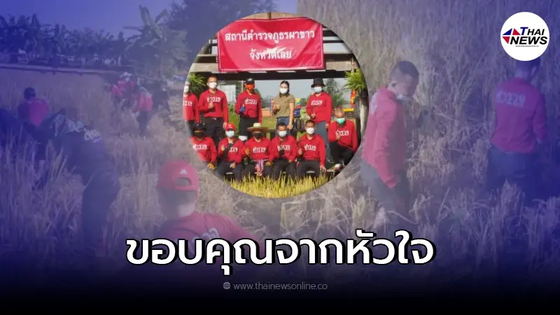 "ตำรวจ26นาย" บุกเข้าหาตา-ยาย ที่กำลังเกี่ยวข้าว