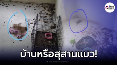 เจ้าของบ้านเช่าอึ้ง เจอคนเช่าโสโครก ทิ้งกองอึเต็มบ้าน ซ้ำซากแมวเกลื่อน เจ้าของบ้านเช่าอึ้ง เจอคนเช่าโสโครก ทิ้งกองอึเต็มบ้าน ซ้ำซากแมวเกลื่อน