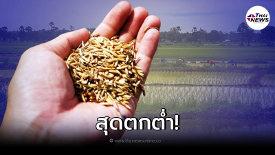 ชาวนาจะอยู่กันยังไง! เปิดราคาข้าว 1 กิโลฯ ถูกกว่า บะหมี่กึ่งฯ 1 ซองแล้ว