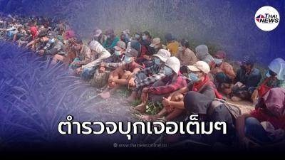 "ตำรวจ" บุกไร่สับปะรด รวบคาหนังคาเขาร้อยกว่าคน