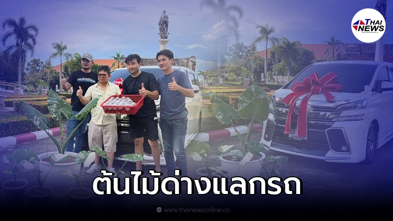 แลกจริงไม่จกตา ต้นบอนหูช้างด่างขาว แลกรถตู้หรู 1 คัน ลั่นใครอยากแลกเสนอมา แลกจริงไม่จกตา ต้นบอนหูช้างด่างขาว แลกรถตู้หรู 1 คัน ลั่นใครอยากแลกเสนอมา