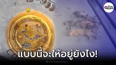 หนุ่มรีวิวห้องเช่า สุดขนลุกกองทัพเห็บหมัด บุกไต่เต็มห้อง!