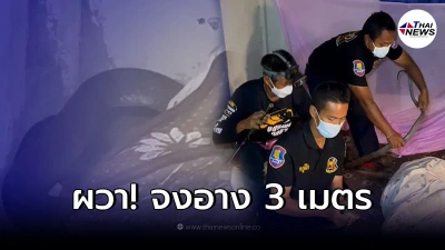 พบงูจงอางยาว 3 เมตรขดตัวซุกใต้หมอน ถ้าไม่เห็นก่อนคงไม่รอด