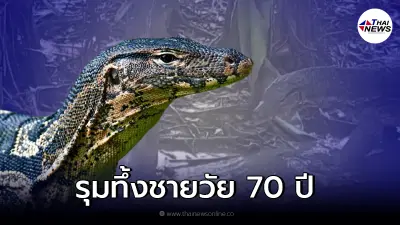 ตัวเงินตัวทองรุมทึ้งศพ พบเป็นคนข้างบ้านชายวัย 70 ปี สติไม่ดี